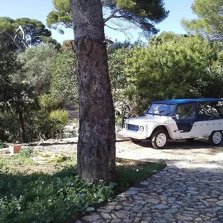 Villa Niel - Acces Direct Et Piscine Chauffee Hyeres